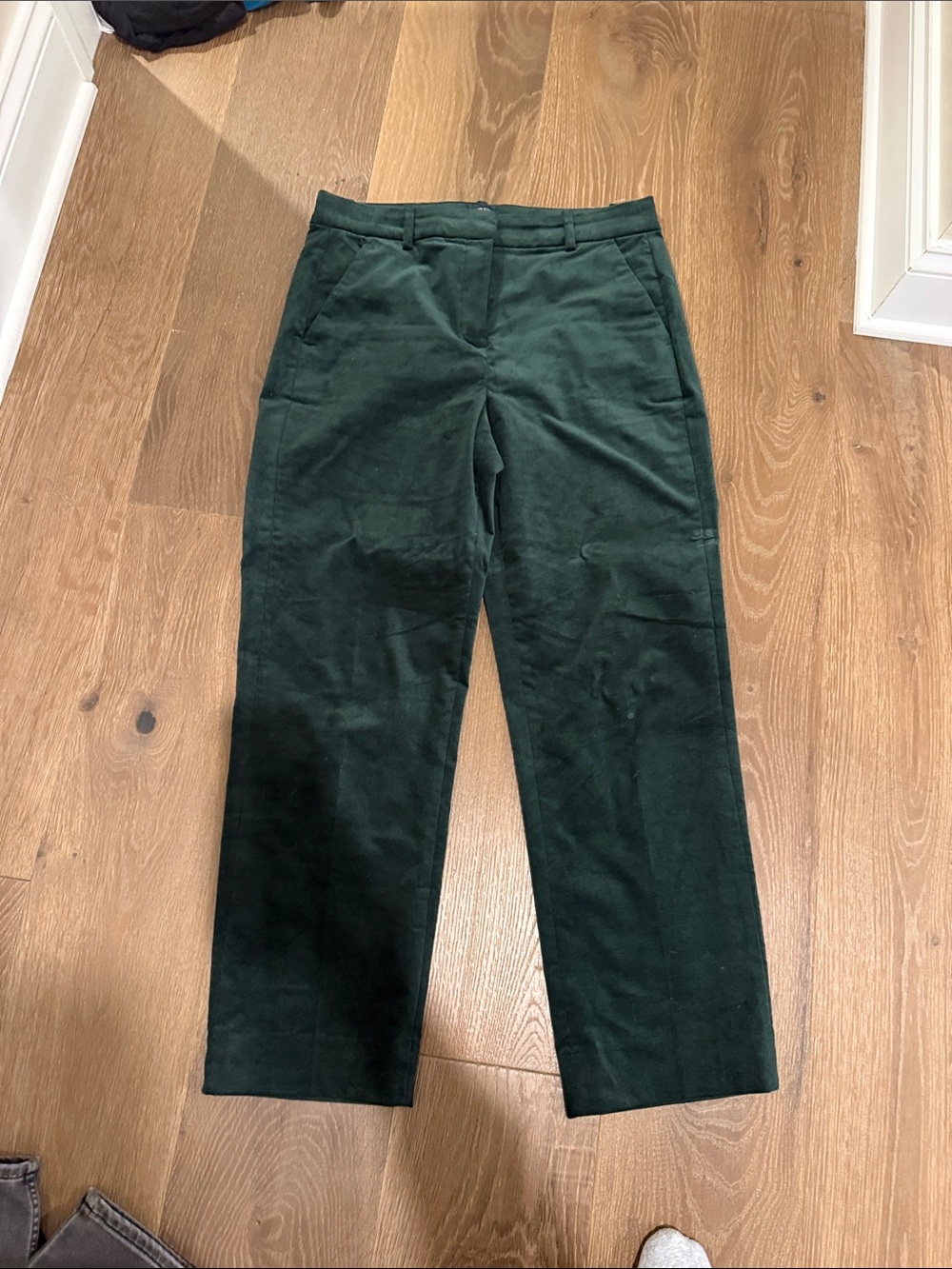 Women’s Dark Green velor Straight Fit ankle pant